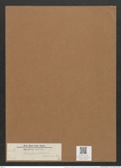 Nitzschia (vitrea var.) salinarum Grun. (de-Toni-Nr.: Genus 47, Species 2112) Zeichnungen Sammlung Grunow Mappe 02232 (Herbarium_W_Grunow_drawings_Folder_02232)